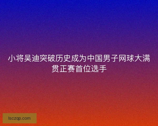 小将吴迪突破历史成为中国男子网球大满贯正赛首位选手